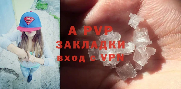 ГАЛЛЮЦИНОГЕННЫЕ ГРИБЫ Сосновка