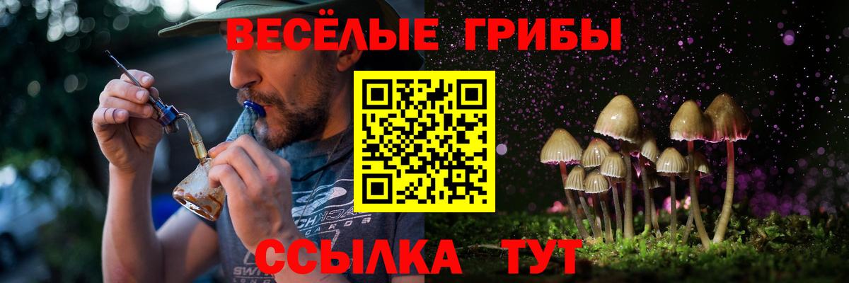 Можайск  Псилоцибиновые грибы GOLDEN TEACHER  Вход с VPN  цены   Галлюциногенные грибы Magic Shrooms 